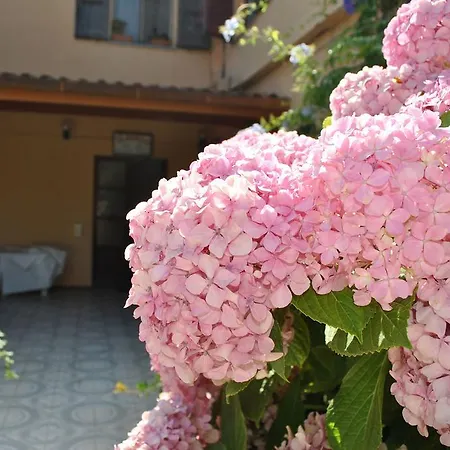 La Pineta 2*
