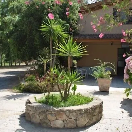La Pineta 아르보레아